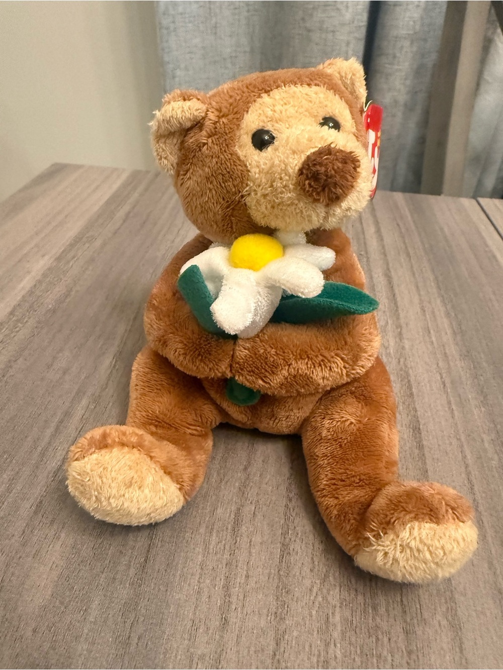 Classic Brown Plush Teddy with Daisy – Soft Cuddly Stuffed Animal